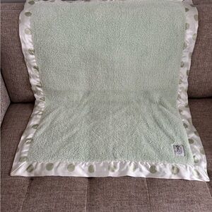 Little Giraffe Mint Green Baby Blanket with Satin Polka Dot Trim